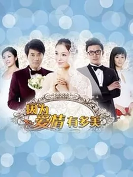 因为爱情有多美DVD版