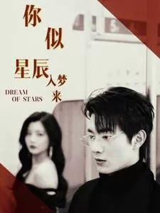 你似星辰入梦来海报